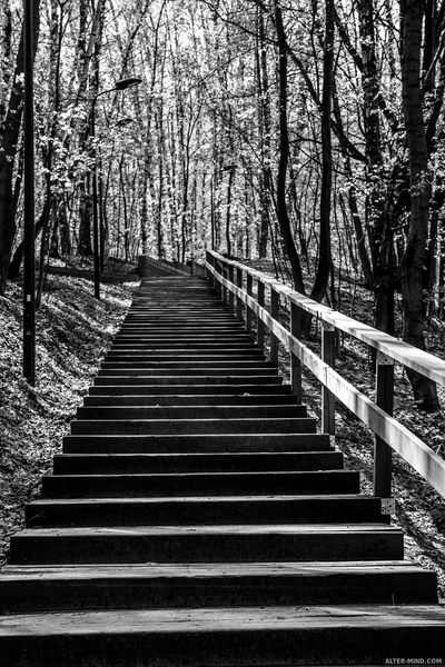 Деревянная лестница на Воробьевых черно-белое